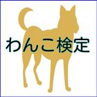 ペットの犬、わんこ検定 icon