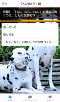 犬の気持ち～いぬのしつけ,イヌ,わんちゃんの言葉が分かる～ screenshot 1