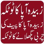Zubaida Apa k Totkay in urdu