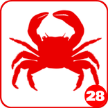 320+ Crab Recipes