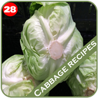 100+ Cabbage Recipes icône