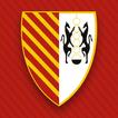 Amicale Jamhour