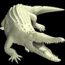 Crocodile Mannequin APK