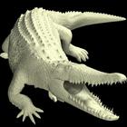 Crocodile Mannequin ไอคอน