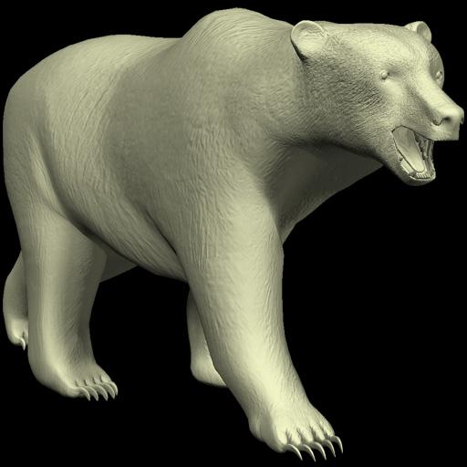 Bear Mannequin