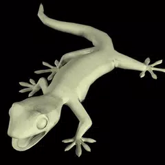 Baixar Gecko Mannequin APK