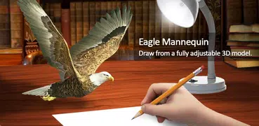 Eagle Mannequin