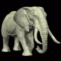 Descargar APK de Elephant Mannequin
