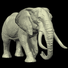 Elephant Mannequin icône
