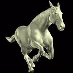 download Horse Mannequin APK