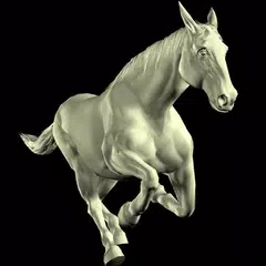 Horse Mannequin アプリダウンロード