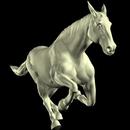 Horse Mannequin APK