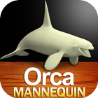 Orca Mannequin Zeichen