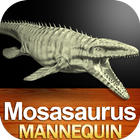 Mosasaurus Mannequin biểu tượng