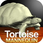 Tortoise Mannequin أيقونة