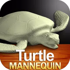 Turtle Mannequin