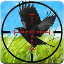 Crow Hunting Game 3D 2016 APK