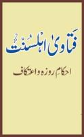 Fatawa e Ahlesunnat الملصق