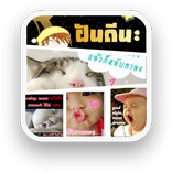 ”สติ๊กเกอร์ ฝันดี