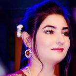 Gul Panra Songs: Official