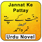 Jannat K Pattay Urdu Novel Full icône