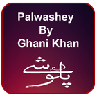 Palwashey icon