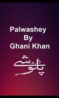 پوستر Palwashey