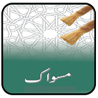 Miswak icon