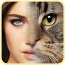 Insta Face Morph APK