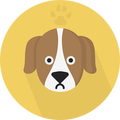 How to Breed a Dog