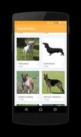 How to Breed a Dog 截图 1