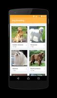How to Breed a Dog 截图 2