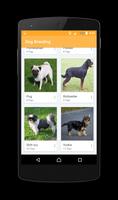 How to Breed a Dog 截图 3