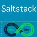 Learn SaltStack APK