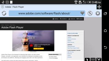 Free VPN Flash Browser Player تصوير الشاشة 3