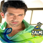 Peshawar Zalmi Best Profile and Dp Maker PSL-4 아이콘