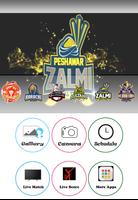 Peshawar Zalmi Best Profile and Dp Maker Affiche