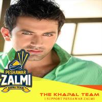 Peshawar Zalmi Best Profile and Dp Maker PSL-4 스크린샷 1