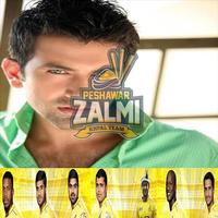 Peshawar Zalmi Best Profile and Dp Maker PSL-4 screenshot 2