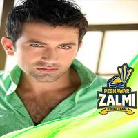 Peshawar Zalmi Best Profile and Dp Maker PSL-4 screenshot 3