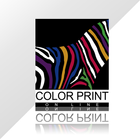 Color Print Online icône