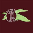 Bamboo Bar APK