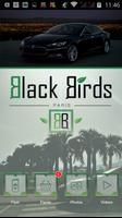 Black Birds Affiche