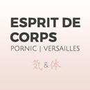APK Esprit De Corps