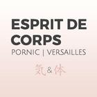 Esprit De Corps icône