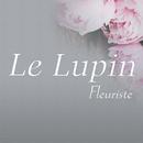 Le Lupin APK