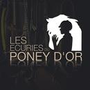 Les Écuries Du Poney D'Or APK