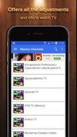 TV Mexico Channel Data plakat
