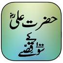 Hazrat Ali 100 Qissay APK