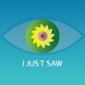 I Just Saw
